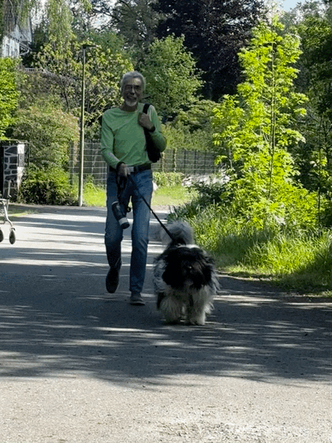 Bild 31